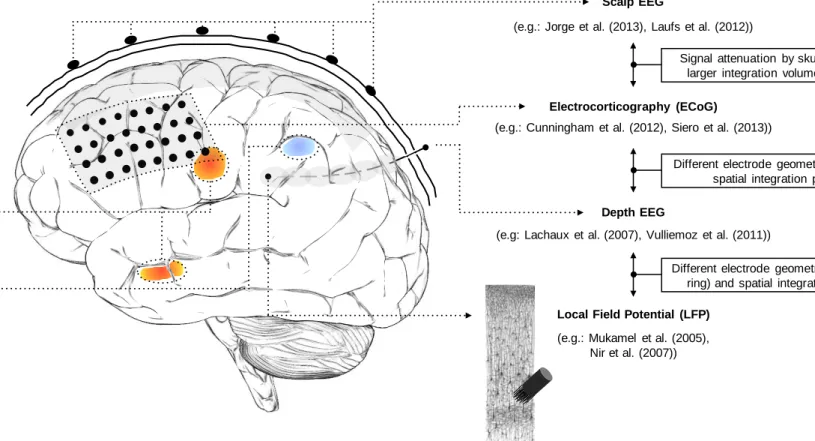 Figure  2-1  Brain  signals  at multiple  scales:  from  thousands  of  neurons  to  whole-brain