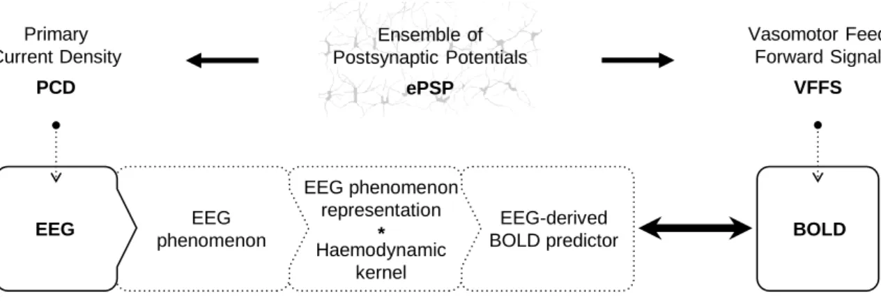 Figure  2-2  General  EEG-informed  fMRI  integration  scheme,  highlighting  the  mechanisms  underlying  each  signal