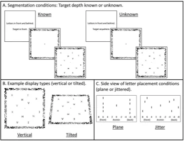 Fig. 1. Experimental design. The task was to indicate if the display contained an N or a Z
