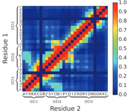 Fig. 5Ramachandran plot for a single unit of n16N at 300.0 K in thePLUM* model, where the backbone hydrogen bonding strength parametereHB is set to 94.5% of its original value