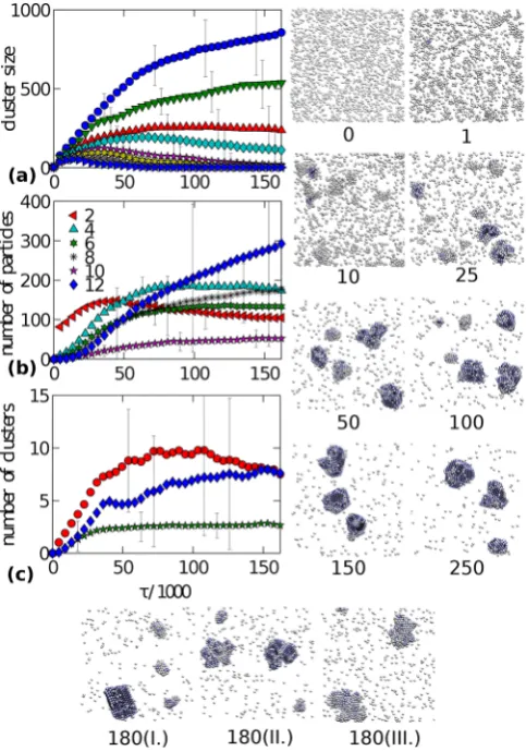 Fig. 4. (Color online) Time evolution of the system composedof particles with short-range attraction and long-range repul-sion