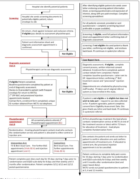 Fig. 1 Patient flow chart and associated forms