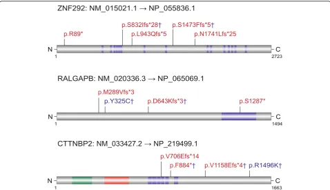 Fig. 1 Distribution of DNMs in two potential novel autism risk genes (ZNF292, RALGAPB) and CTTNBP2