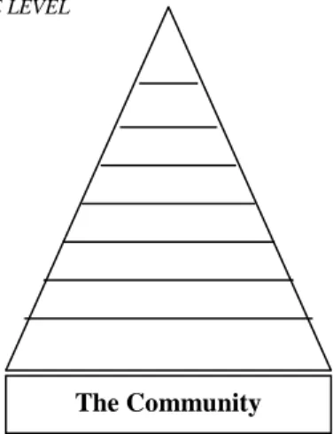 Figure 1:  Organisational Pyramid of the Tanzanian Health Services Structure    