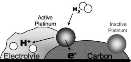 Figure 6: Schematic illustration of triple phase boundary [89] 