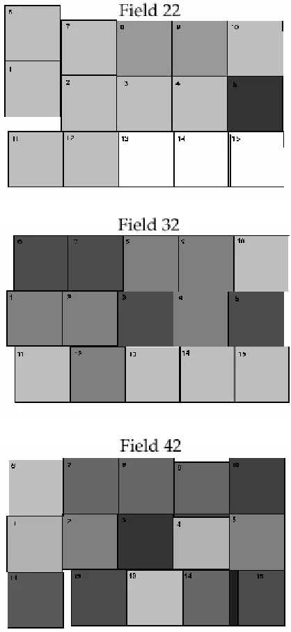Figure 2.3 WIRC pointing layout and Ks-band depth in Fields 2–4. The shadingdepth is the same as in Figure 2.2.