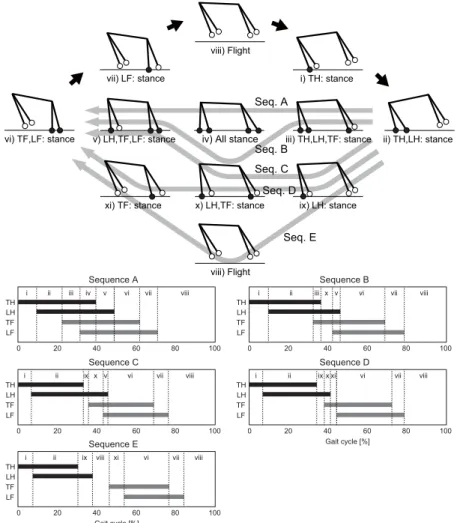 Figure 5: Schematic sequences of stance condition of obtained gaits: Sequences (Seqs.) A–E.