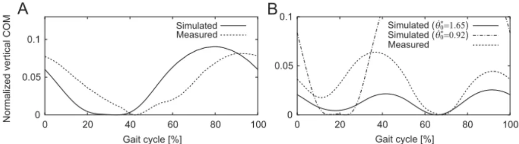 Figure 6: Comparison of vertical COM movement between the simulation results and measured data for one gait cycle between touchdowns of trailing hindlimbs during quadrupedal galloping gaits
