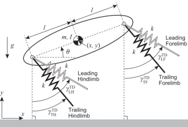 Figure 2: Physical model of galloping consisting of a rigid body and four massless springs in two dimensions.