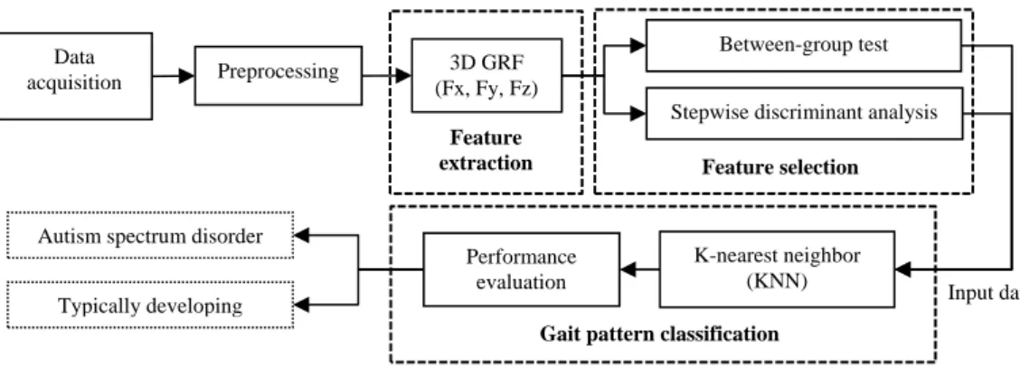Figure 1. The overall process of ASD gait identification. 