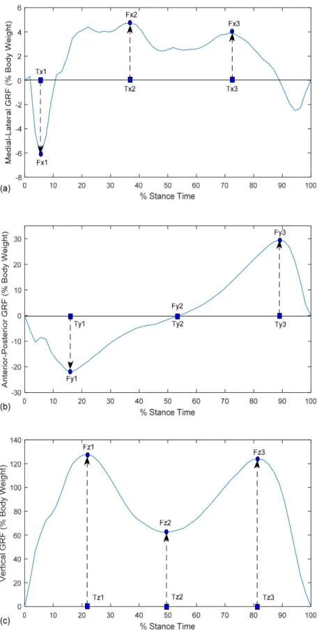 Figure 3. The three ground reaction force components of a single left limb stance during the  stance phase of a typically developing female participant