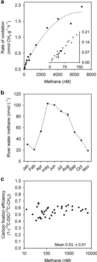 Figure 4Kinetic effects of methane on its rate of oxidation andship with methane concentration from ~ 10 ntopolynomial,in the Lambourn (see Shelleyet al.the efficiency of carbon fixation