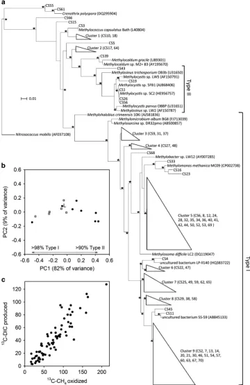 Figure 5A measure of the variation in the methanotroph community and overall CCE for a sample of eight chalk streams in southernwas 50% on average for the eight rivers (filled circles inEngland