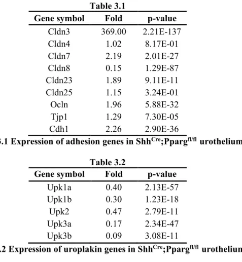 Table 3.1 Expression of adhesion genes in Shh Cre ;Pparg fl/fl   urothelium  Table 3.2 