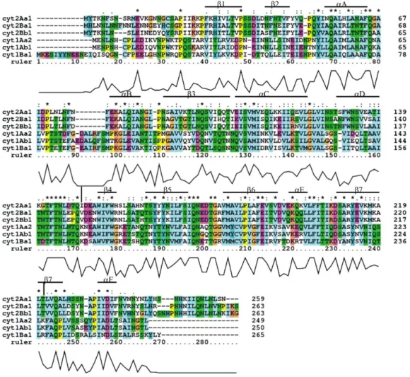 Figure 1. Multiple sequence alignment of amino acids from Cyt d-endotoxins. The alignment was performed using Clustal X