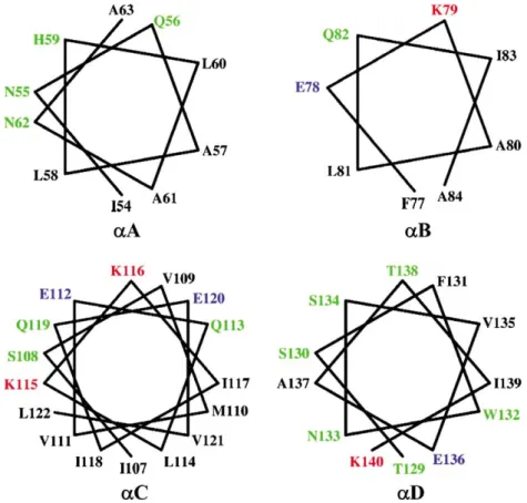 Figure 3. Helical wheels of helices aA, aB, aC and aD. All helices show amphipathic character