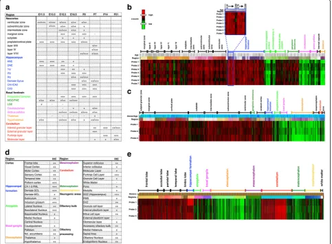 Fig. 3 Comparison of developmental and adult TCF4 expression.din selected brain areas during human neural development from post-conception week 15regions and aligned by ascending age per region (BrainSpan: Atlas of the Developing Human Brain [Internet]