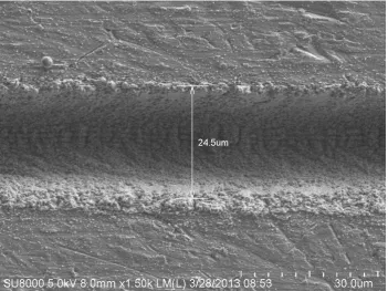 Figure 1 (a). 2-dimensional surface morphology 