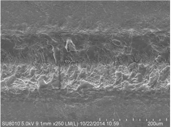 Figure 3 (a). 2-dimensional surface morphology 