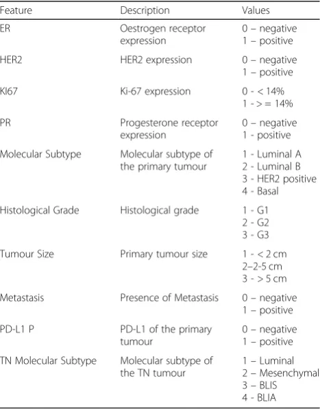 Table 1 Description of the features analysed in the clinical records
