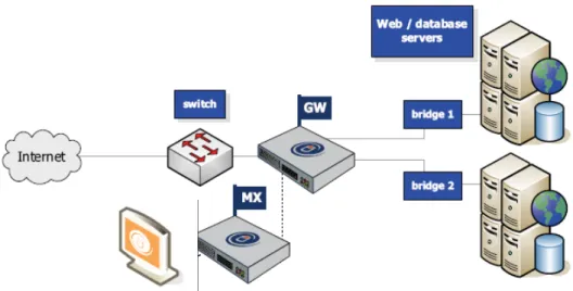 Figure  1-4- Example Inline Topology 