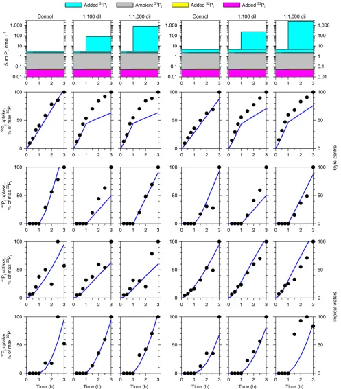 Figure 2 | Comparison of observations and model output of inorganic phosphate uptake during experiments.experiments (top row of plots) at two contrasting sites: least productive waters of the gyre centre and more productive tropical waters