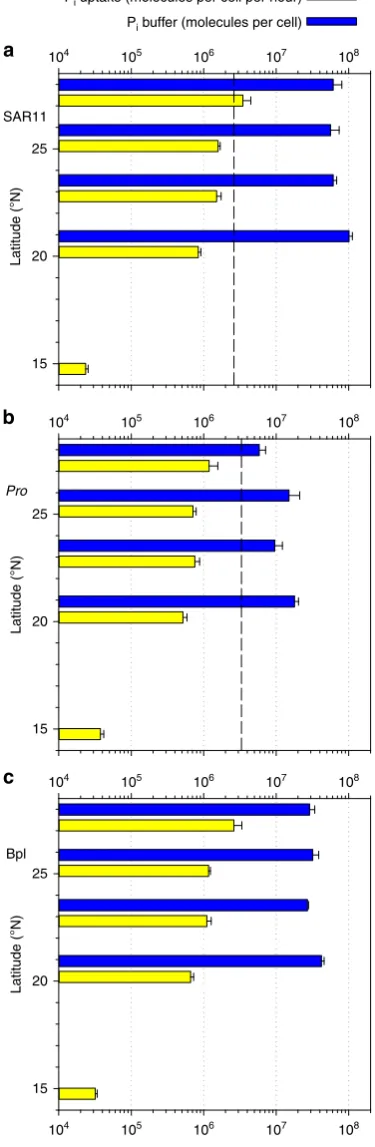 Figure 3 | Cellular phosphate uptake rates and estimates of extracellularphosphate buffer.and background uptake ofnot be estimated