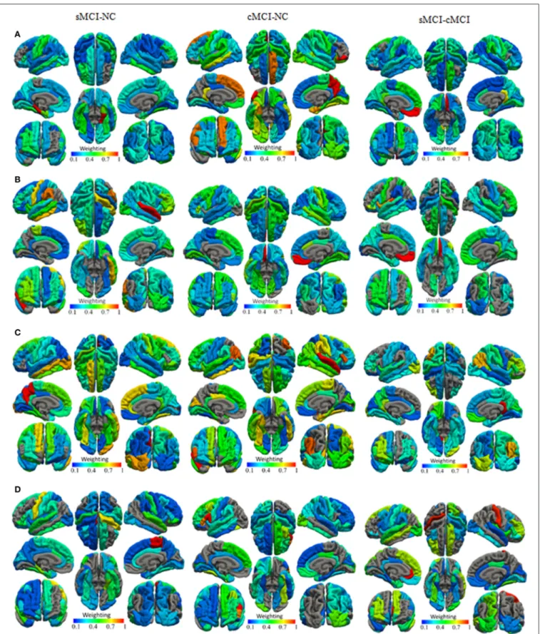 FIGURE 2 | The normalized weights of combined cortical surface features with the highest (A) GM volume, (B) Cortical thickness, (C) Surface area, and (D) Mean curvature.