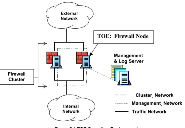 Figure 2.1 TOE Operating Environment 