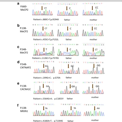 Fig. 2 Sanger sequencing diagram of MECP2 and other genes variations in autism core family