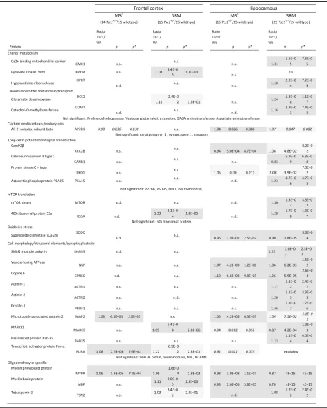 Table 1 Significantly changed proteins identified by label-based LC-SRM in the frontal cortex and hippocampus of Tsc1+/− micecompared to wildtype mice