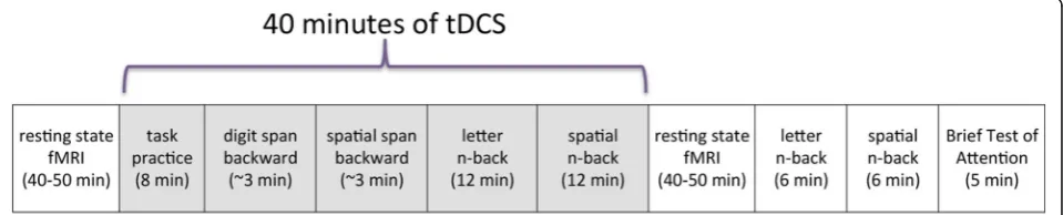Fig. 2 Experimental protocol. All participants completed the same protocol on three separate days