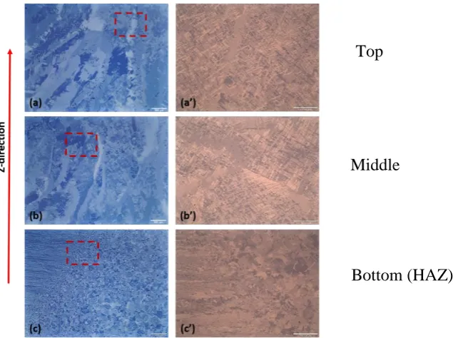 Fig 4 – optical micrographs of the cross section of two layers of Ti-6Al-4V weld sample showing (a and a’) top, (b and b’) middle and (c and c’) bottom of the layers (HAZ) 