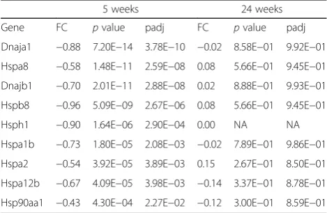 Table 1 Differentially expressed heat shock genes in 5-weekRTT microglia