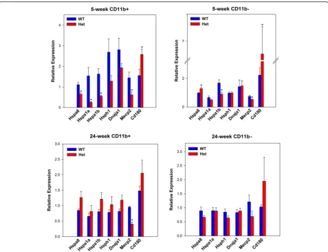Fig. 3 Validation of selected DEGs by qPCR. Samples were analyzed in duplicate using the 2−ΔΔCt method as described in the Methods section.Significant differences between WT and Het are denoted by an asterisk (*)