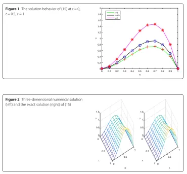 Figure 1 The solution behavior of (15) at t = 0,