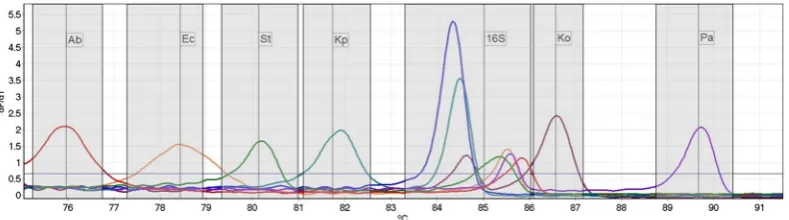 Figure 1. High resolution melt profile of the 6 amplicons for each species targeted by the assay, in addition to a single non-target Gram-negative isolate (En