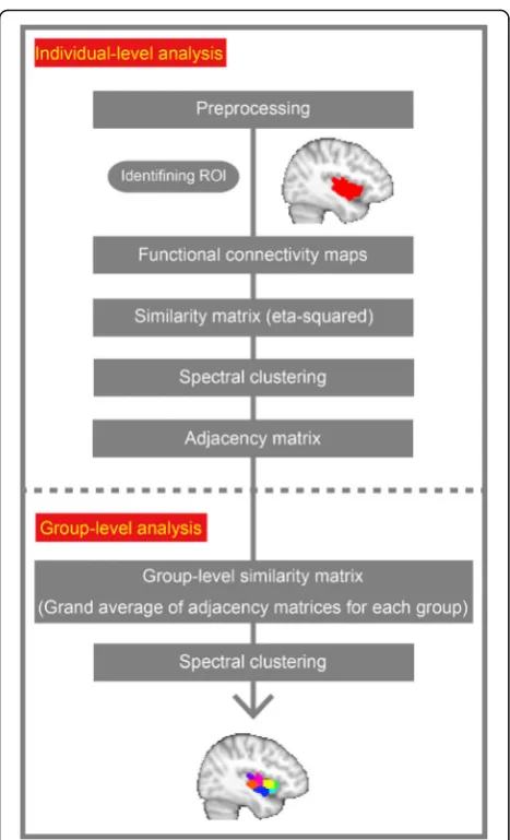 Fig. 1 The procedure for the functional connectivity-based parcellationof the insula. We first identified voxels in the left and right insula ofeach participant and generated a set of functional connectivity mapsby correlating the resting-state time-series