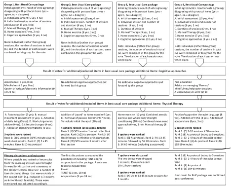 Table 4. Group and Plenary Results from Facet injection Study Consensus Conference looking at: What is the optimal conservative management/rehabilitation for patients with low back pain where facet joints have been identified as a contributing source of symptoms? 