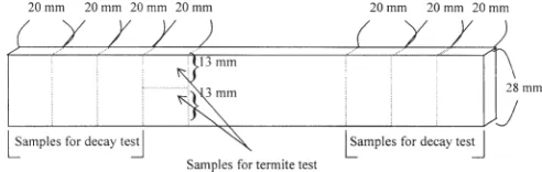 Fig. 1. Sampling of wood specimens for decay and termite tests oftreated wood-based composites