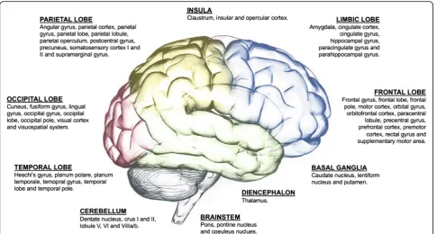 Fig. 2 Overview of areas which have affected functional connectivity to 20 different networks reported in a total of 25 studies of interictalmigraine patients compared with healthy controls
