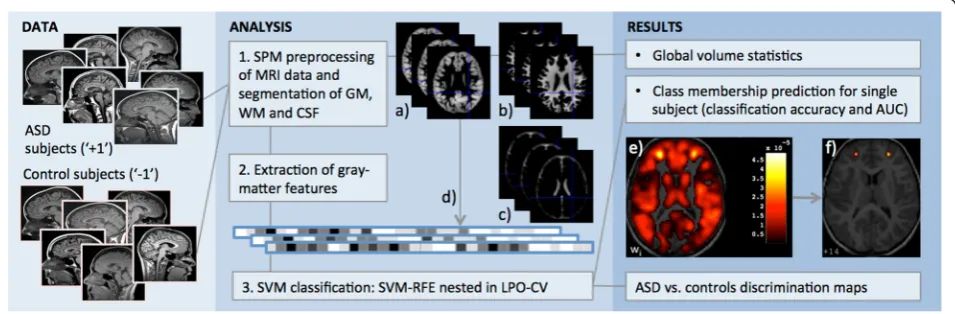 Fig. 1 Sketch of the data analysis procedure. the MRI data of patients with autism spectrum disorder (ASD) and matched control subjects are(preprocessed with the Statistic Parametric Mapping (SPM) software package to obtain the segmented grey matter (a), w