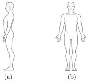 Figure 1.1: (a) Proﬁle view and (b) Front view.