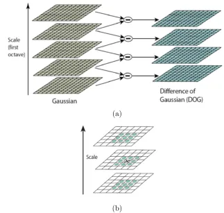 Figure 2.11: (a) Diﬀerence-of-Gaussian is convolved with image for each scale spaceand (b) Maxima and minima of the diﬀerence-of-Gaussian images by comparing asample point (pixel) in 3x3 region at a scale above and below [63].