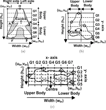 Figure 3.3: IBMs for Head (H), Arm (A), and Feet (F) SBP labelling and anthro-pometry based segmentation [G1-G7] (see Section 3.4.1.4 Table 3.3) of silhouettefor: (a) Stand (contour using bounding rectangle minimum (ubr, vbr) and maximum points (wbr, hbr)α activities in Table 3.1, convex hull in shaded region); (b) Sit; and(c) Lie.