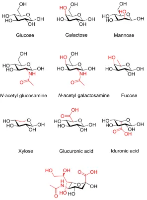 Figure 1.1: The ten most common human monosaccharide units, the red colour indicates structural features that differ from the glucose unit 