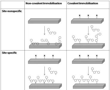 Figure 1.6: Categories for the immobilisation of carbohydrates onto solid supports. Adapted from the work of S