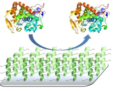 Figure 1.7: Protein resistant surfaces are used to reduce non-specific binding and give higher resolution assays, taken from the work of J