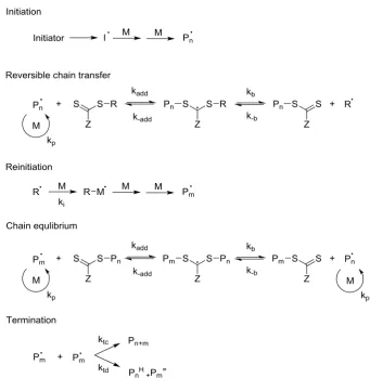 Figure 1.10: The proposed mechanism of RAFT polymerisation, adapted from the work of G
