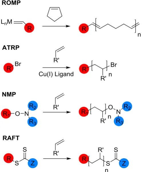 Figure 1.12: Location of functional groups introduced by the initiator/CTA in polymers produced by ROMP, ATRP, NMP and RAFT